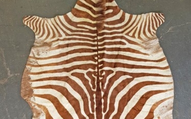 Vintage Zebra Pet,some damage (L:251 x W:141cm)