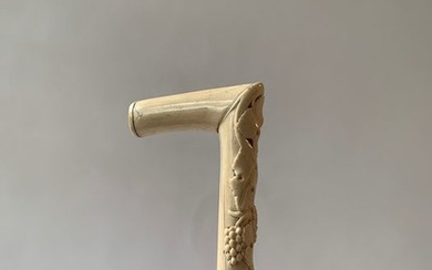 Walking stick with ivory carved hook handle - Ivory, Wood - 1890