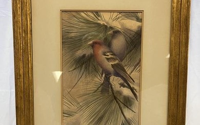 Wisconsin Artist Bruno Ertz 1918 Watercolor of Birds