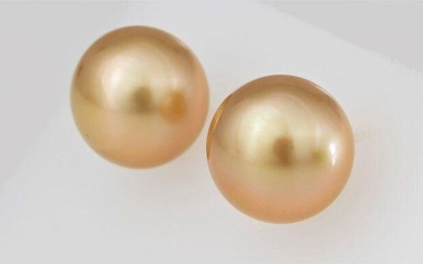 11x12mm Round Deep Golden South Sea Pearls - 14 kt. Yellow gold - Earrings