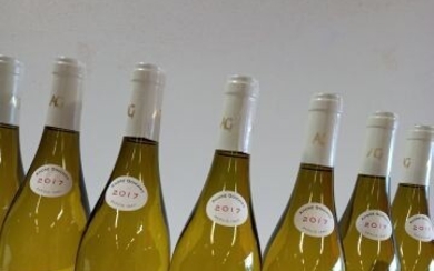 12 bouteilles de Bourgogne Aligoté. 2017.... - Lot 50 - Enchères Maisons-Laffitte