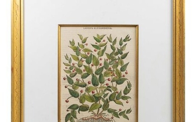 A Group of Eight Hand Colored Engravings Possibly After