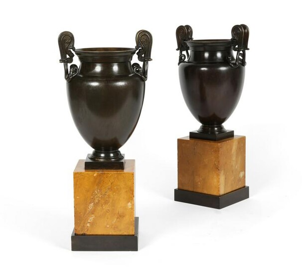 A pair of Neoclassical bronze and marble vases