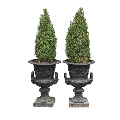 A pair of Victorian cast iron campana garden urns with black...