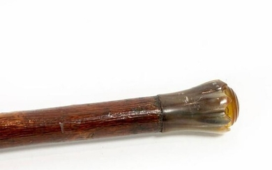 Bakelite And Horn Handle Cane