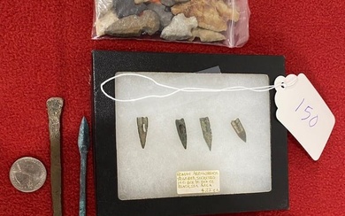 Collection of 40+ Native American Arrowheads
