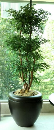 FAUX TREE & CERAMIC PLANTER, H 86", DIA 27"