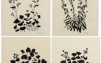 Hugo Guinness, (b.1959) A set of four botanical studies
