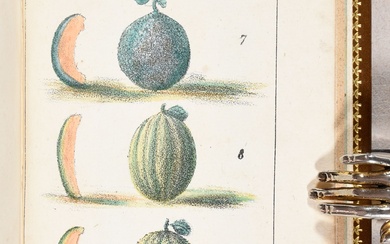 MARTIN, Alexandre Manuel de l'amateur de melons ou L'art de reconnaître et d'acheter de bon...