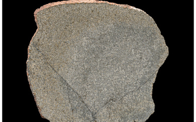 NWA 13227 Martian Meteorite Slice Martian (shergottite) Northwest Africa...