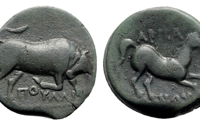 Northern Apulia, Arpi, c. 275-250 BC. Æ (18mm, 5.42g, 3h)....