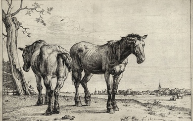 Potter, Paulus (1625-1654). The plough horses. Etching, 25,2x23,4 cm., signed...