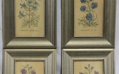 Set of 4 Fine Decorative Flower Lithograph (Print)