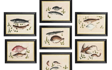 Seven Chinese Export paintings of fish