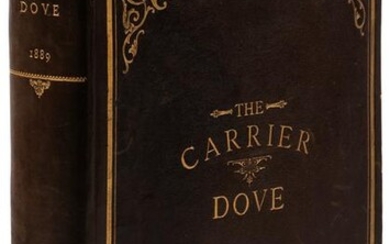 The Carrier Dove, Volume VI 1889