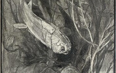 Woodward Original Early Drawing of Devonian Marine Life