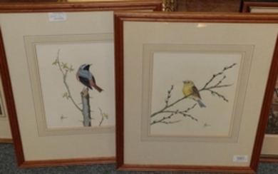 Anne Hopkinson (20th century), Redstart, signed, gouache, together with Yellowhammer,...