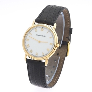 18k Tiffany & Co. Men's Watch