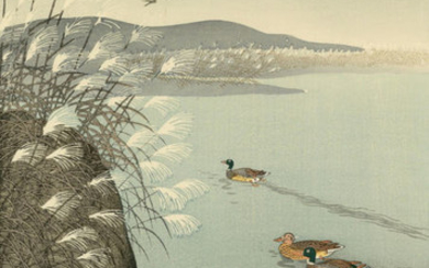 Original woodblock print - Ohara Koson (1877-1945) - "Susuki ni kamo' 薄に鴨 (Wild Ducks and Pampas Grass) - ca. 1970-80s