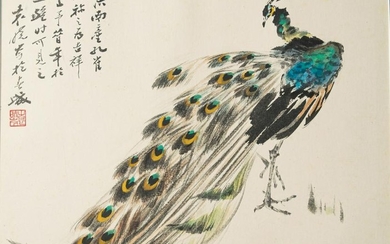 Chinese Painting of a Peacock, Yuan Xiaocen