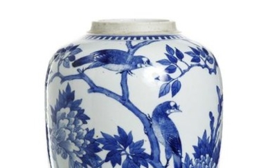 Chinese Blue and White Ovoid Vase