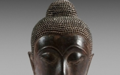 Thaïlande, Ayutthaya, XVIIe siècle Tête de Bouddha