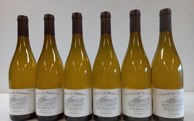 6 bouteilles de Bourgogne Blanc 2019 Chardonnay... - Lot 51 - Enchères Maisons-Laffitte