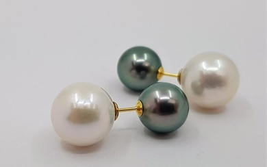 8.5x11.5mm Edison and Tahitian Pearls - Earrings Yellow gold