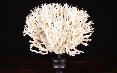 A Coral Specimen mounted on a turned and eboinsed pedestal approx 15'' (38 cm) high.