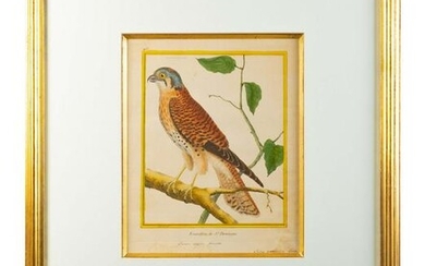 A Set of Four Hand-Colored Engravings After