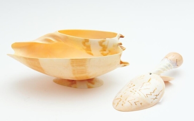 A VINTAGE SHELL SERVING BOWL AND SPOON