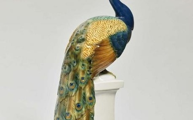 A peacock Schwarzburg workshops for porcelain art