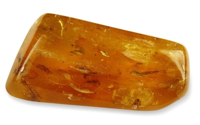 Amber with inclusions of mosquitoes and other winged...