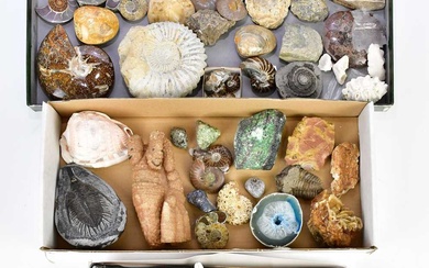 An extensive collection of stones, natural fossils, and shells, including...