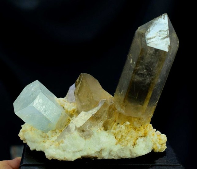 Aquamarine Crystal with Smoky Quartz Crystals on Albite