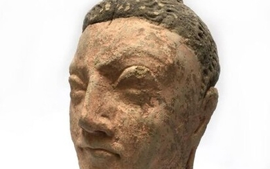 Buddha's head with its headdress in fine curls,...