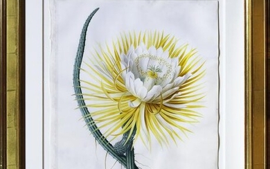 Ehret Cactus Watercolor