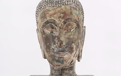 Head - Bronze - Head of Shakyamuni Buddha - Thailand - Ayutthaya Period (1350-1767)