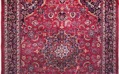 Meshed - Carpet - 383 cm - 300 cm