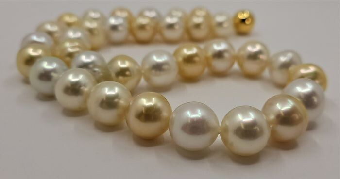 No Reserve - Large 12x13.4mm Golden and White South Sea Pearls - 925 Silver - Necklace