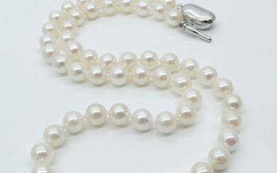 No Reserve Price - Akoya Pearls, Round, 6.5 -7 mm - Necklace Silver