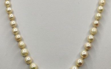 Pearl necklace, pearls increasing in size towards the center (largest 7,4mm), jewelry clasp set wit