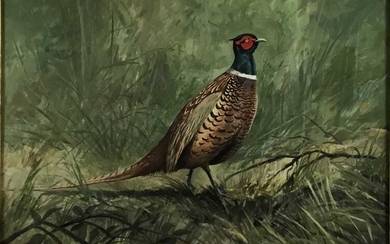 Peter Merrin (Contemporary) oil on board Pheasant