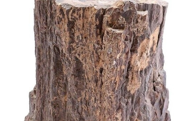 Petrified wooden trunk