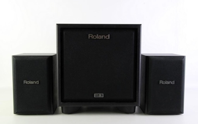 Roland Cube CM-110 Studio Monitors (3)