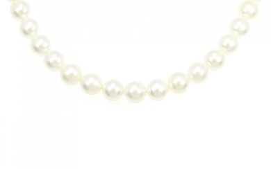 Silver Clasp Akoya Pearl Necklace 7.5-8mm