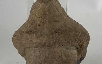 Tête de divinité khmère en grès gris. Cambodge. XI-XIIème s. apr. J.-C. ? H. 11.2...