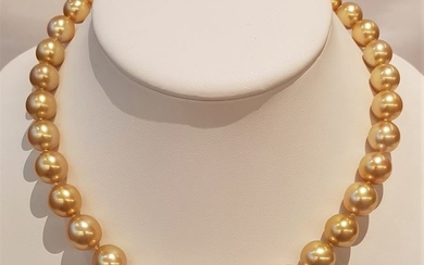 UNITED PEARL - NO RESERVE PRICE- 18 kt. Yellow Gold - 10x13mm Golden South Sea Pearls - Necklace