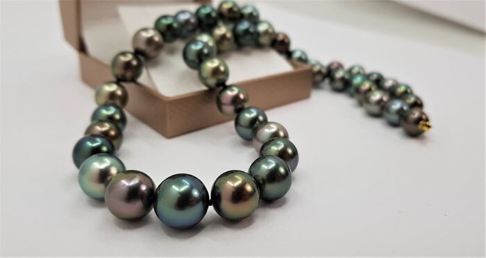United pearl - 8.5x11mm Round Multi Coloured Tahitian Pearls - 14 kt. Yellow gold - Necklace