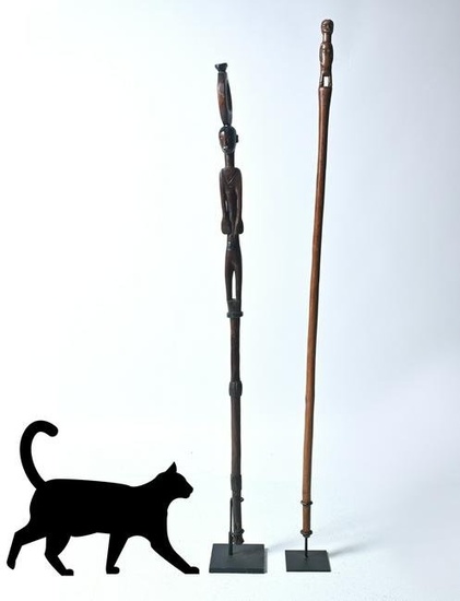 2 CARVED AFRICAN FIGURAL CANES IN STANDS